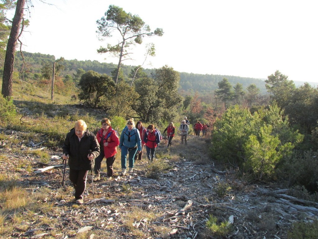 Venelles - Jeudi 19 février 2015 TWxcrG