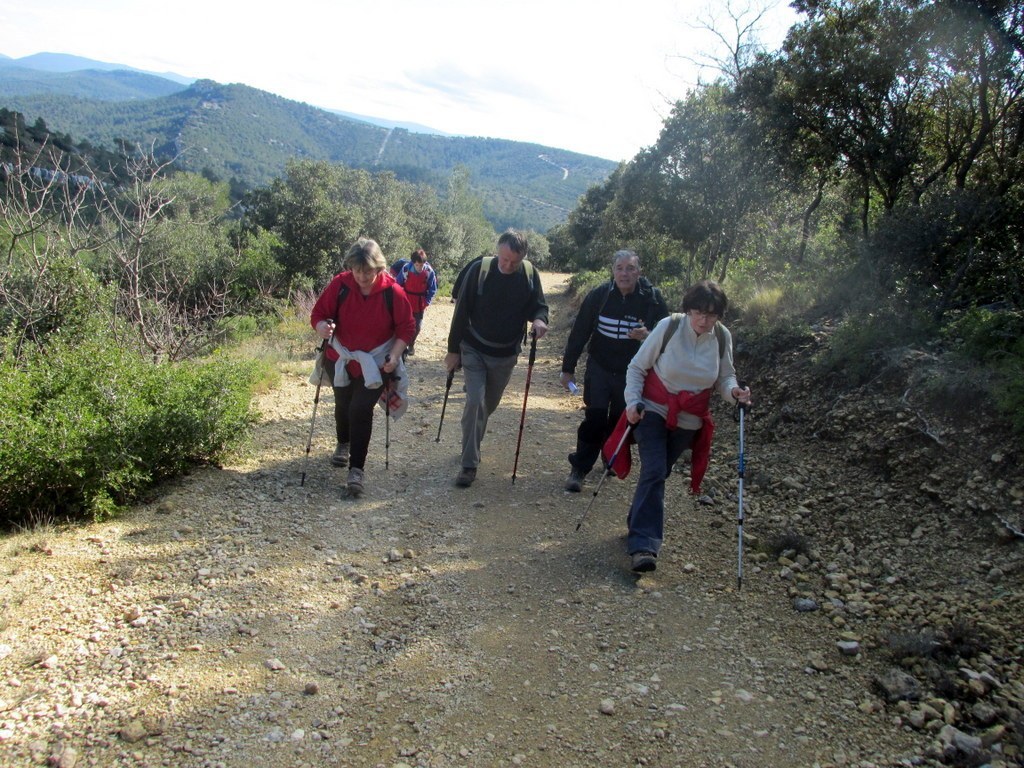 Cuges les Pins- Col de l'Ange - Font Blanche - Samedi 28 février 2015 IFGVXt