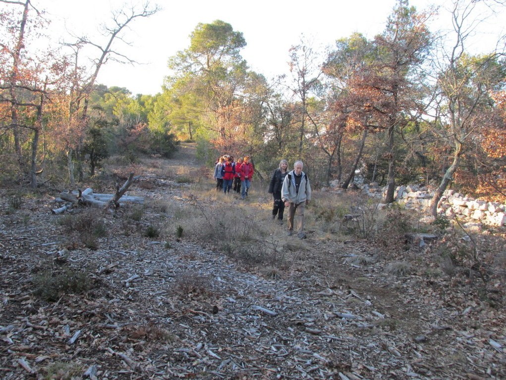 Venelles - Jeudi 19 février 2015 IzquAA