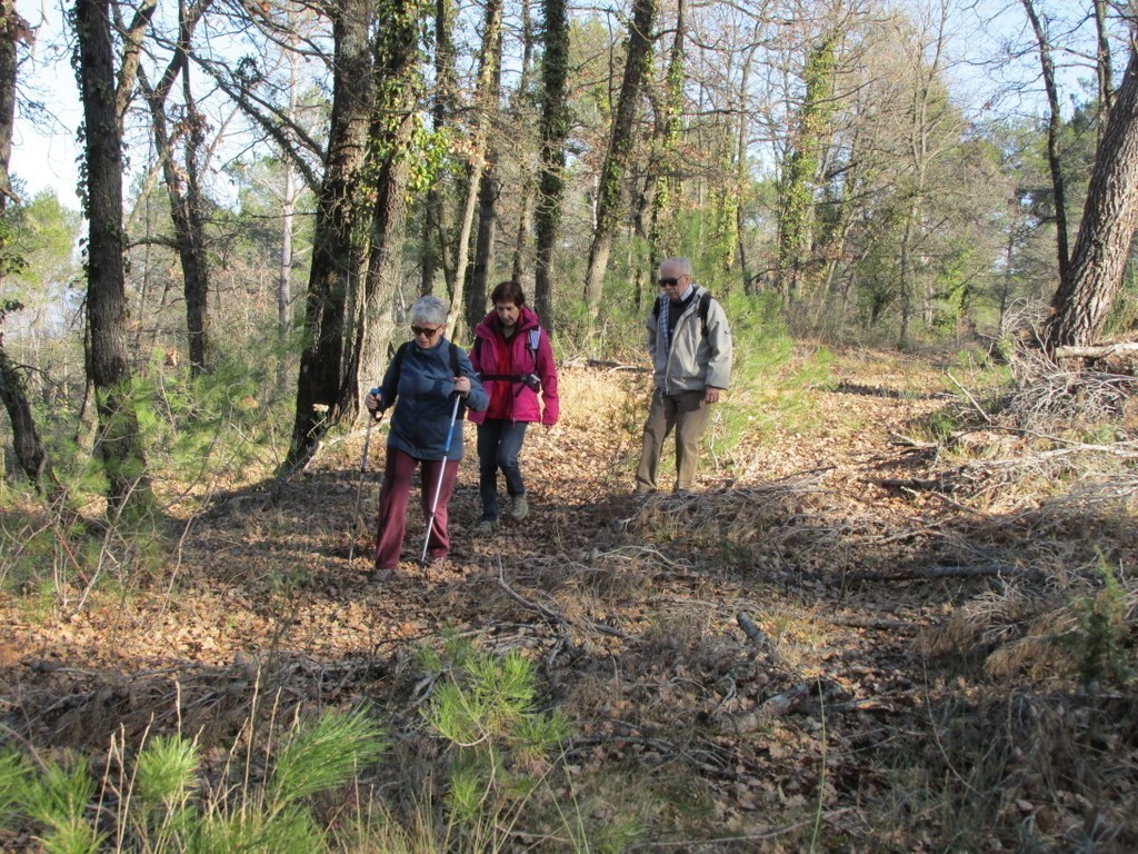 Venelles - Jeudi 19 février 2015 0V0Y5G