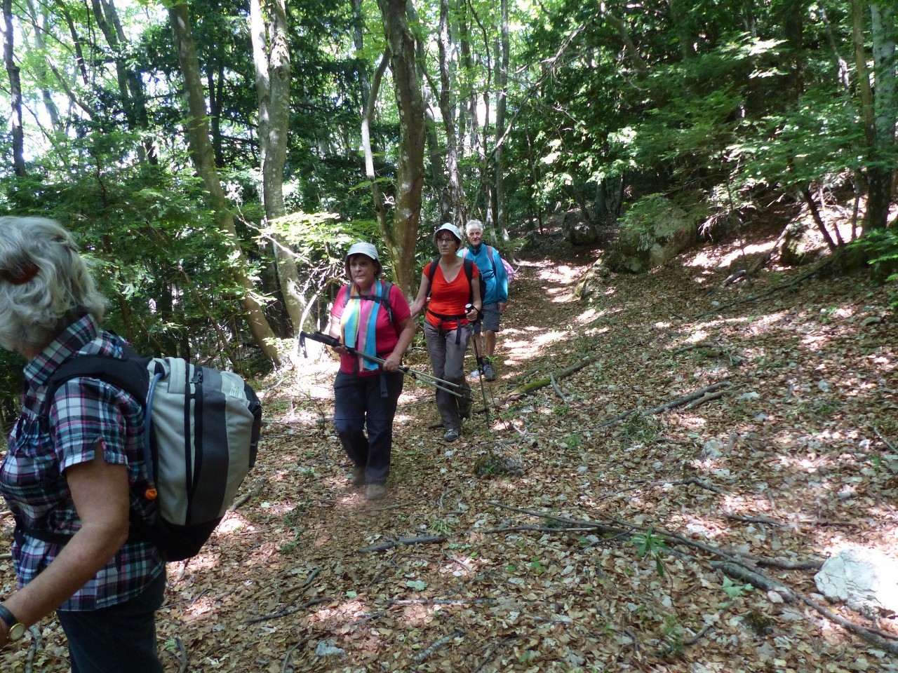 Ste Baume-Grotte aux Oeufs-Paradis-Glacières-Sentier Merveilleux-Jeudi 28 mai 2015 BxD2aq