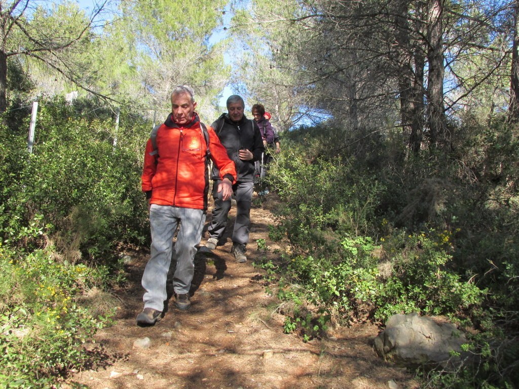 Simiane -St Germain - Jas de Clapier - Jeudi 5 mars 2015 CZuXUc