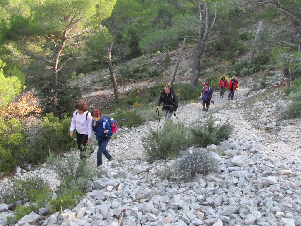 Meyrargues - Pas de l'Etroit - Jeudi 20 novembre 2014 D1T2FJ