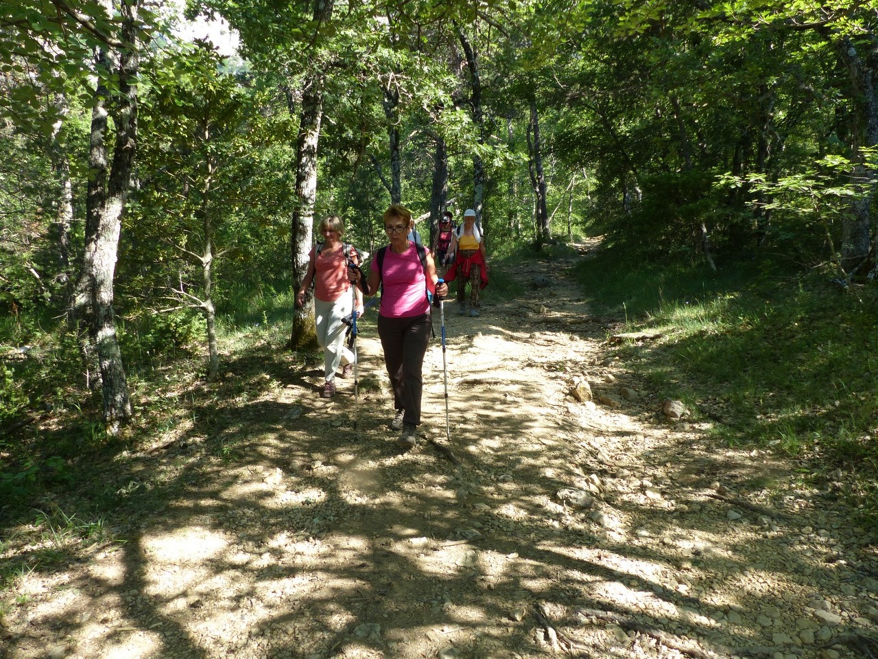 Ste Baume-Grotte aux Oeufs-Paradis-Glacières-Sentier Merveilleux-Jeudi 28 mai 2015 CeK16v