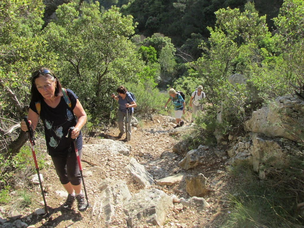 Auriol - les Encanaux - Jeudi matin 4 juin 2015 HbaRIN