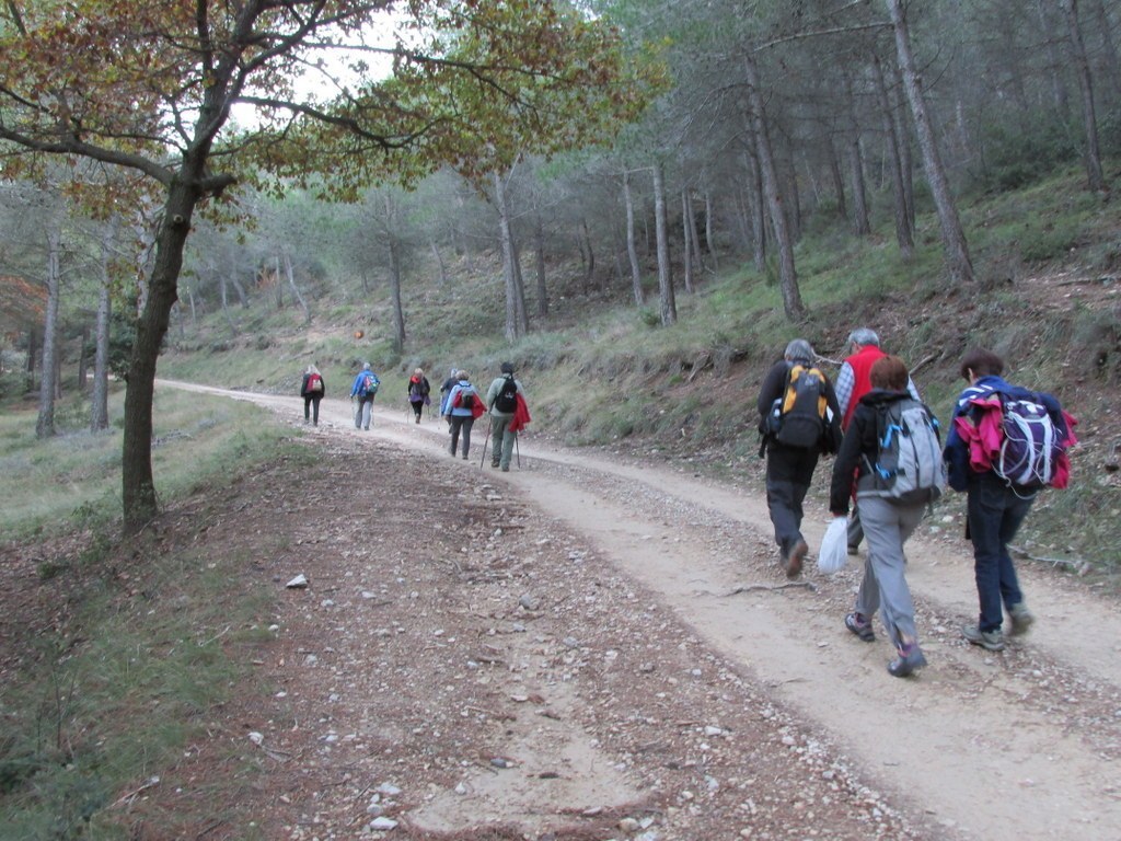 Meyrargues - Pas de l'Etroit - Jeudi 20 novembre 2014 Og6PaV