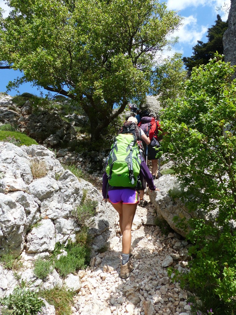 Ste Baume-Grotte aux Oeufs-Paradis-Glacières-Sentier Merveilleux-Jeudi 28 mai 2015 1fb2Ee