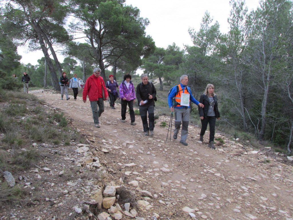 Meyrargues - Pas de l'Etroit - Jeudi 20 novembre 2014 2U0RsI