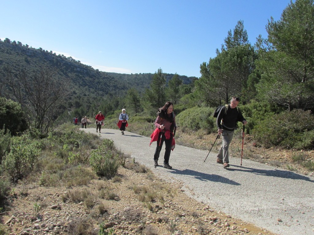 Cuges les Pins- Col de l'Ange - Font Blanche - Samedi 28 février 2015 4z9tgC