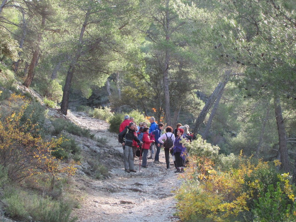 Meyrargues - Pas de l'Etroit - Jeudi 20 novembre 2014 F5jbxb