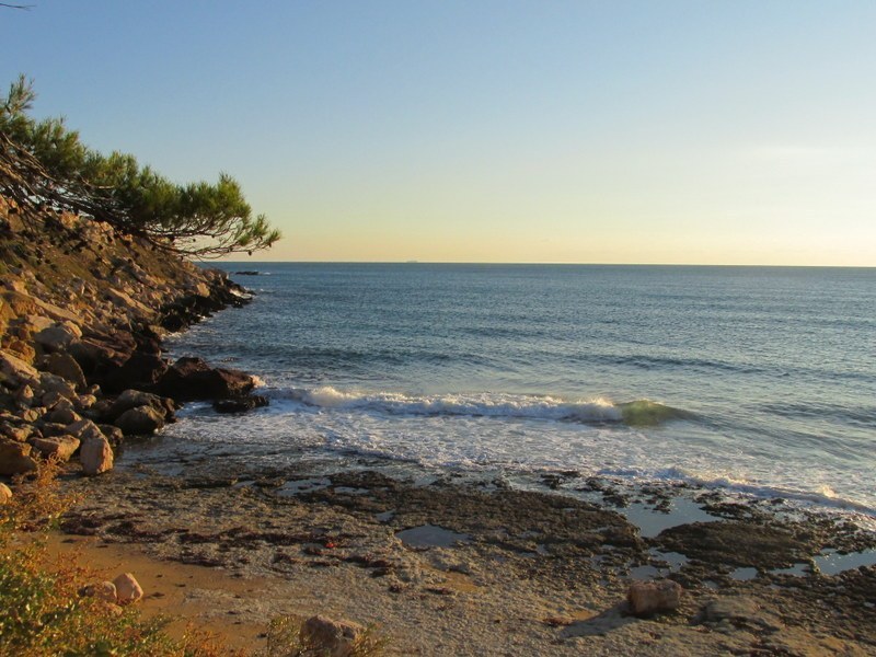 La Couronne - Le sentier des Douaniers - Jeudi 06 novembre 2014 MzpfTn