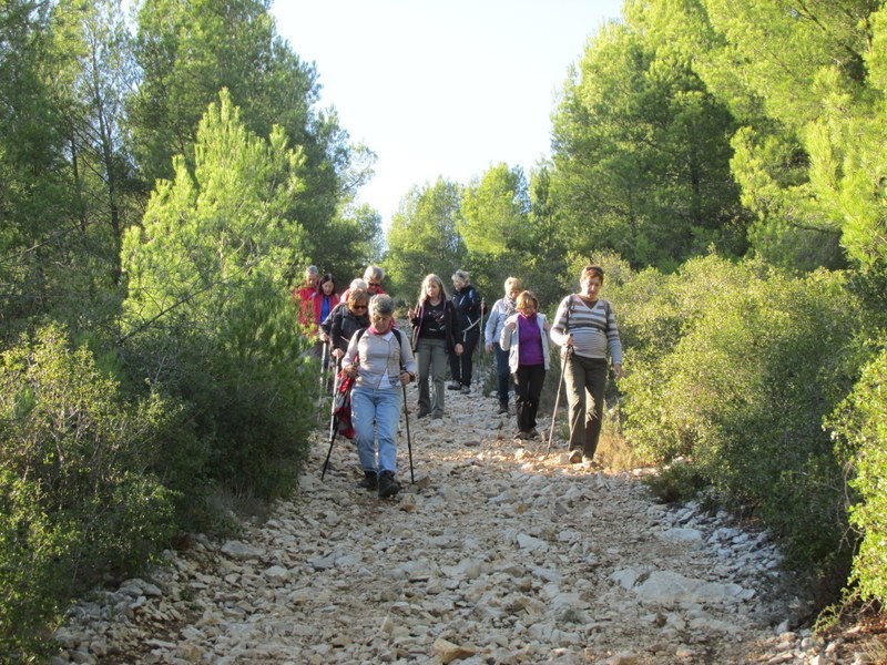 La Couronne - Le sentier des Douaniers - Jeudi 06 novembre 2014 PW433u