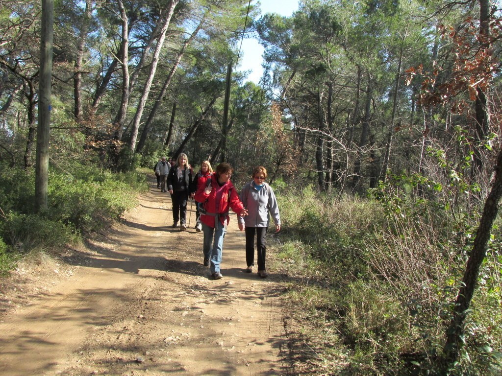 Venelles - Jeudi 19 février 2015 A35UD3