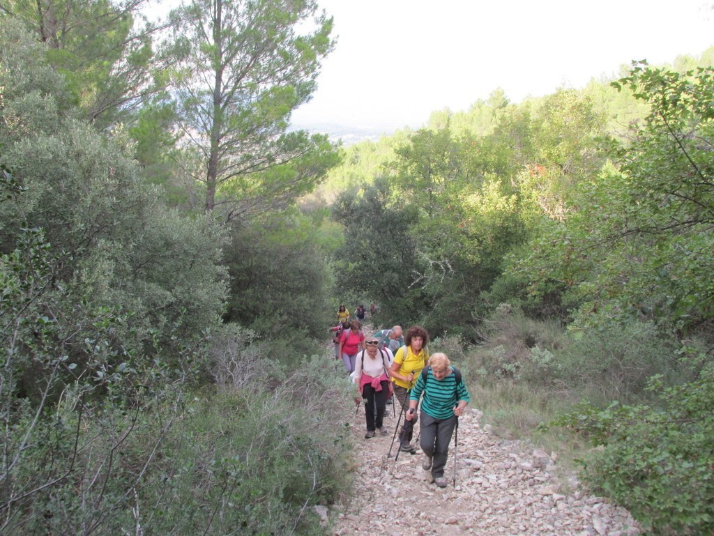 La roque d'Antheron - Jeudi 1er octobre 2015 M9BXp4