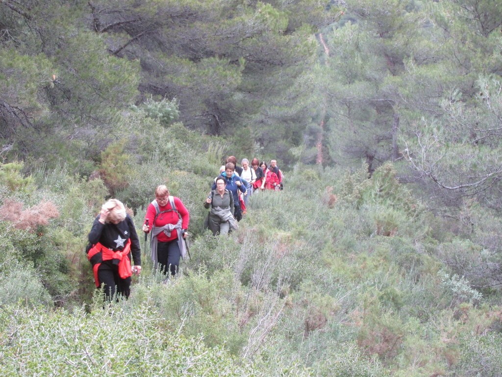 Septêmes les Vallons - Vallon de Fréguières -Jeudi 03 Décembre 2015 6LWjIE