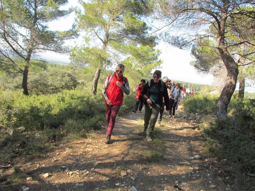 Les collines de Septêmes - La Vigie - jeudi 6 mars 2014 WIkI9B