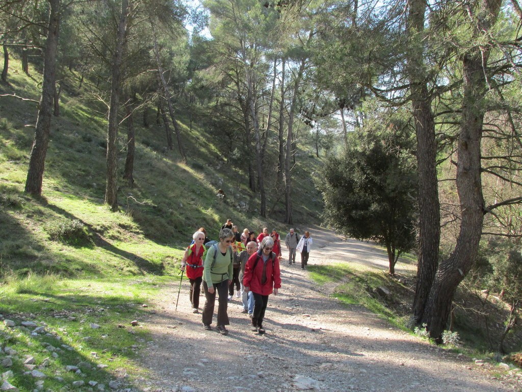 Les collines de Septêmes - La Vigie - jeudi 6 mars 2014 JqbtGM