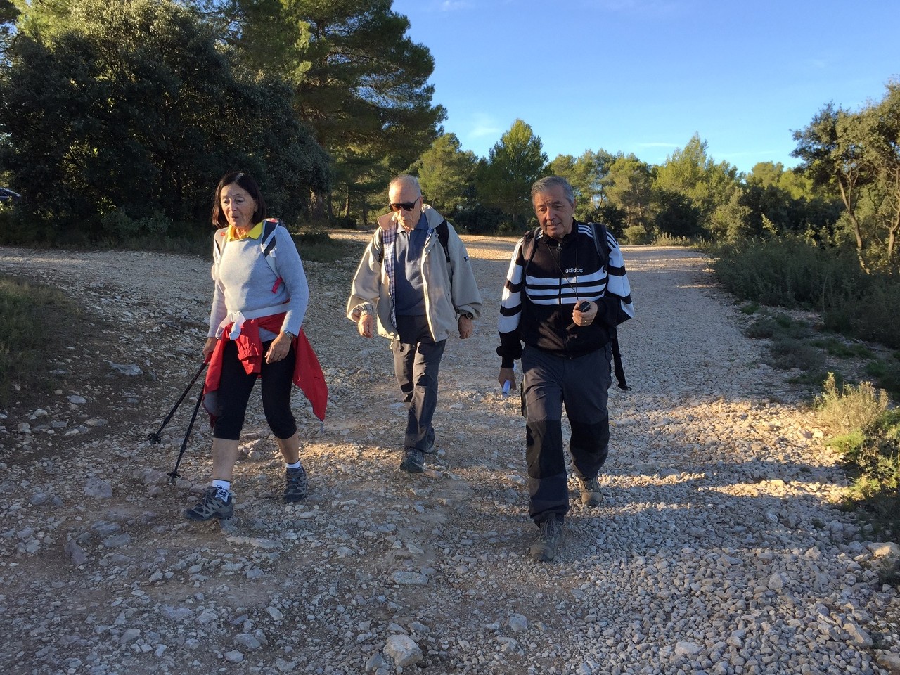 Cabriès - Jeudi 19 novembre 2015 L21MTW