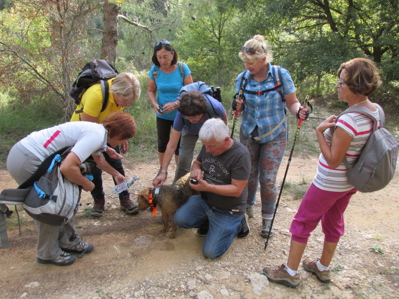 La Merindole- Jeudi 16 octobre 2014 GyCBdE