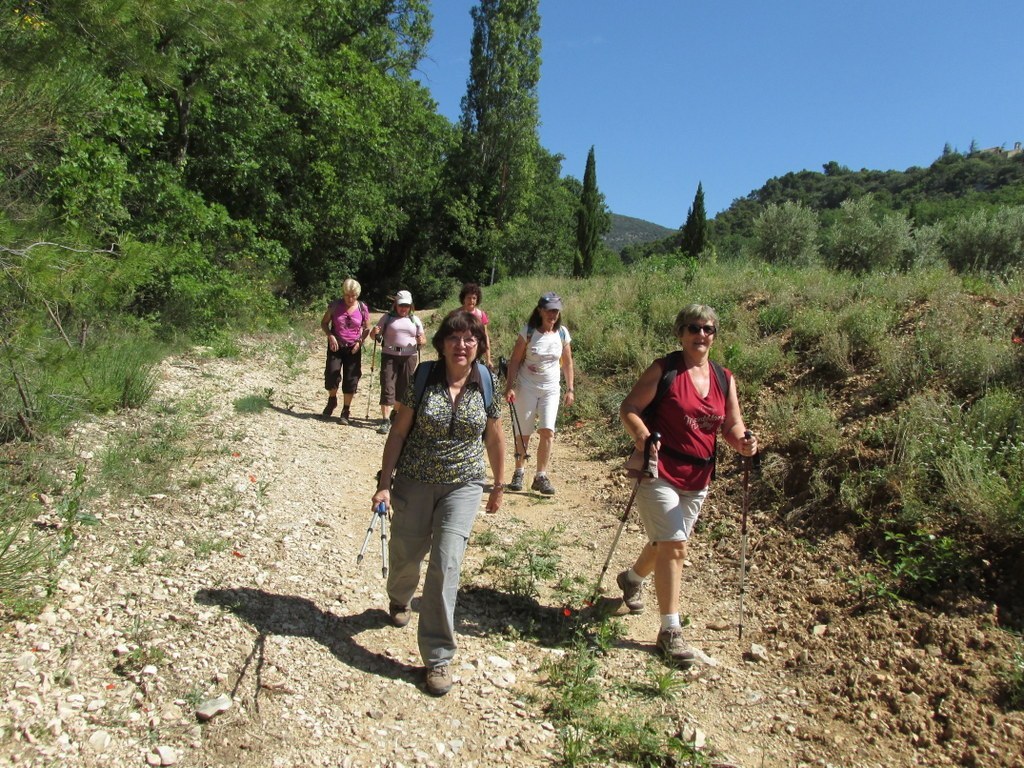 Cucuron - Jeudi matin 18 juin 2015 QRdxFJ