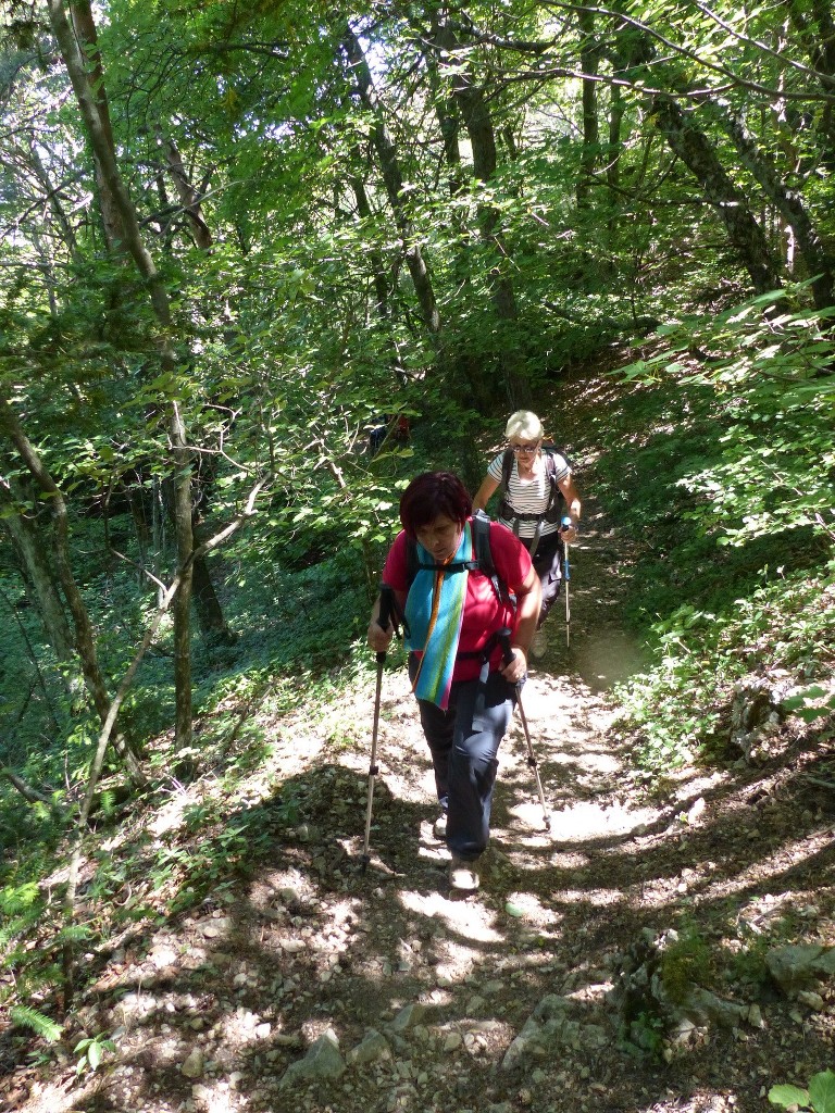 Ste Baume-Grotte aux Oeufs-Paradis-Glacières-Sentier Merveilleux-Jeudi 28 mai 2015 HEb87N