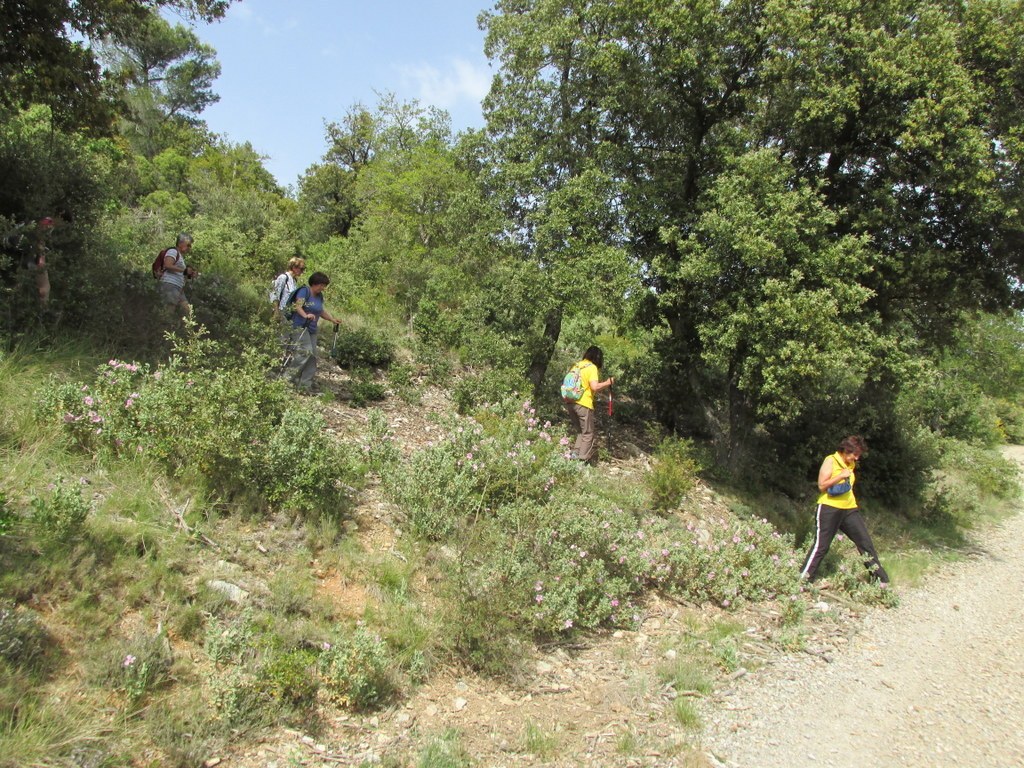 Vauvenargues - Jeudi 14 mai 2015 Hbi8cG