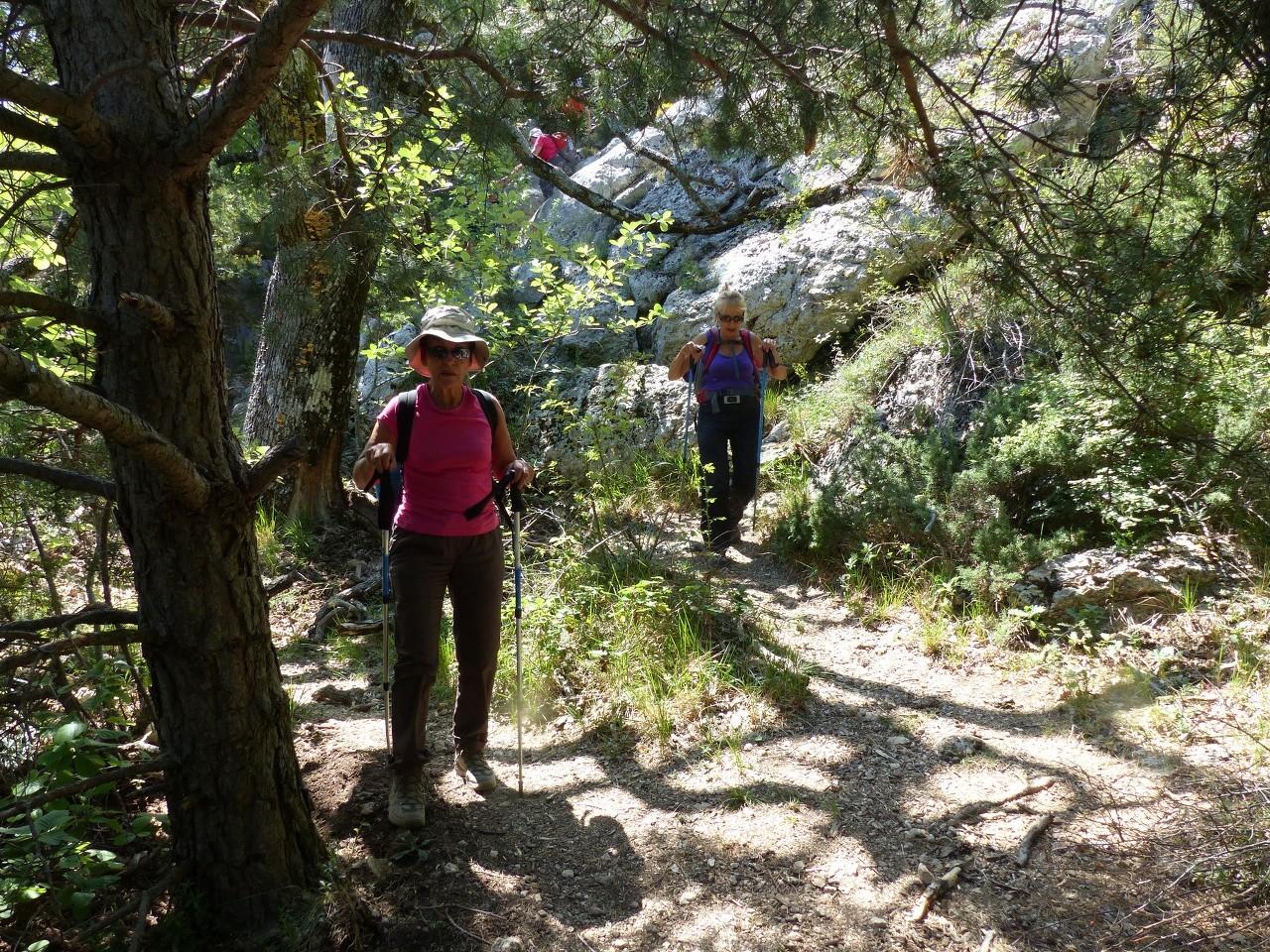 Ste Baume-Grotte aux Oeufs-Paradis-Glacières-Sentier Merveilleux-Jeudi 28 mai 2015 NiE9eh