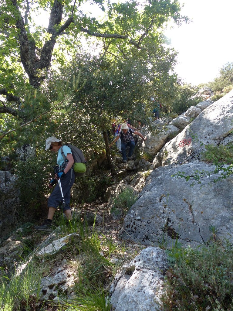 Ste Baume-Grotte aux Oeufs-Paradis-Glacières-Sentier Merveilleux-Jeudi 28 mai 2015 OIkHse