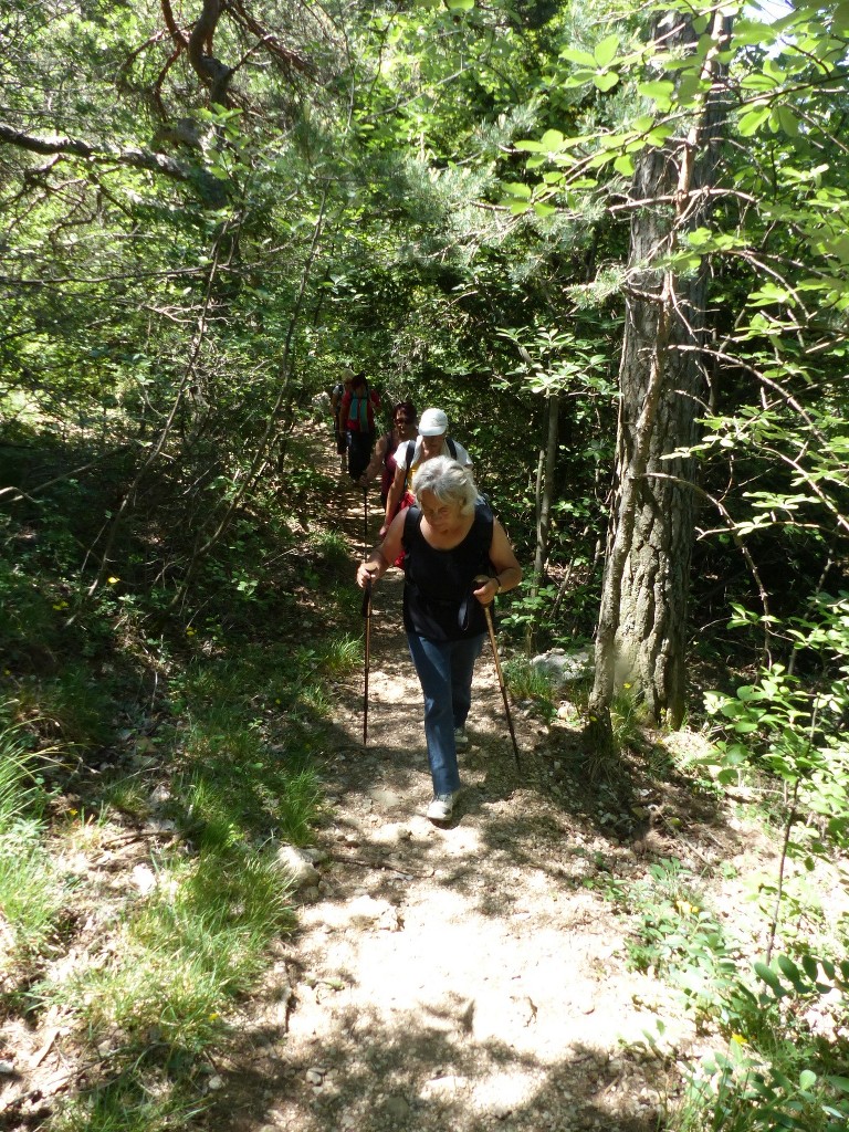 Ste Baume-Grotte aux Oeufs-Paradis-Glacières-Sentier Merveilleux-Jeudi 28 mai 2015 OqzyGO