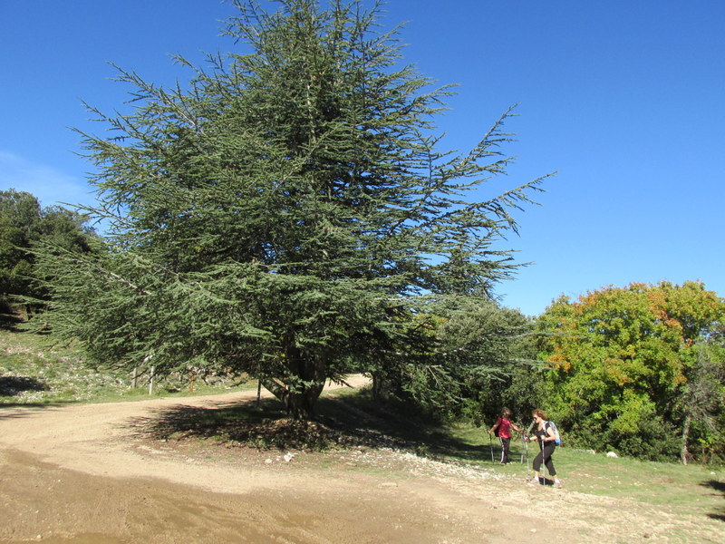 Vitrolles en Luberon Samedi 18 octobre 2014 UVyKac