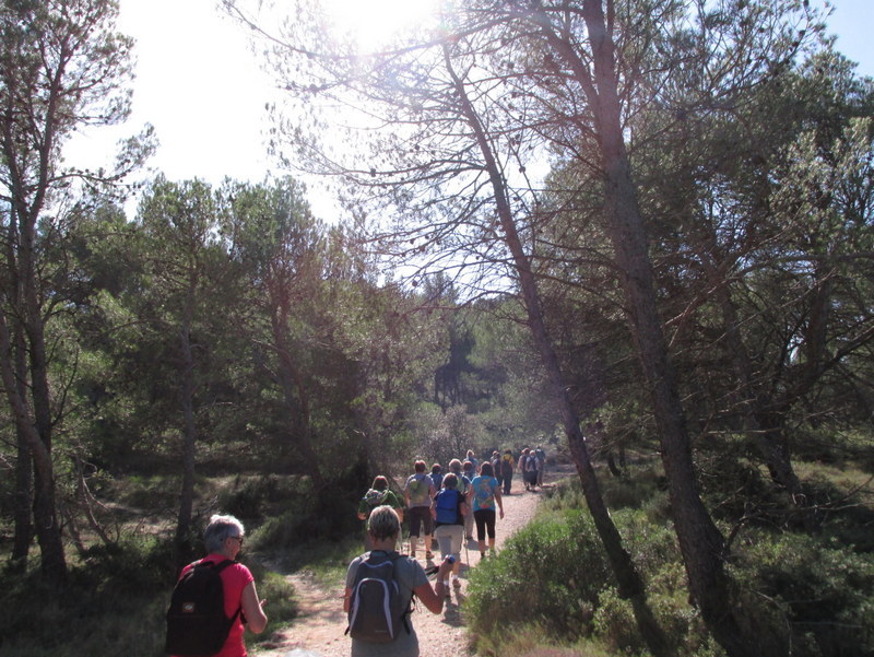 La Merindole- Jeudi 16 octobre 2014 SmLpcM