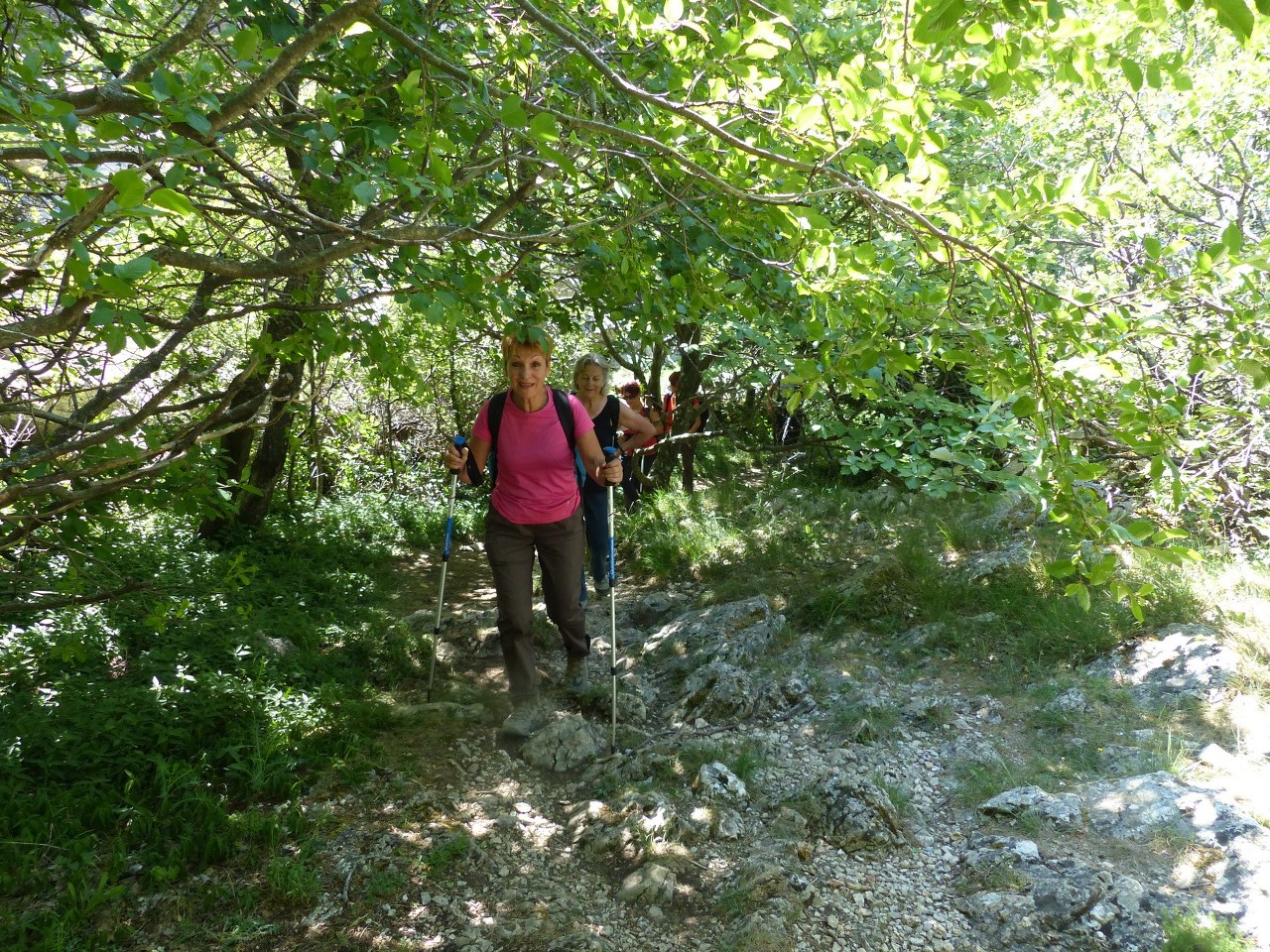 Ste Baume-Grotte aux Oeufs-Paradis-Glacières-Sentier Merveilleux-Jeudi 28 mai 2015 MwSG8t