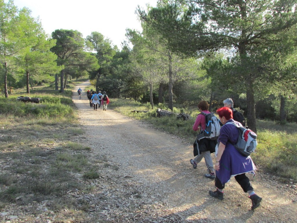 Meyrargues - Pas de l'Etroit - Jeudi 20 novembre 2014 ZzK4aY