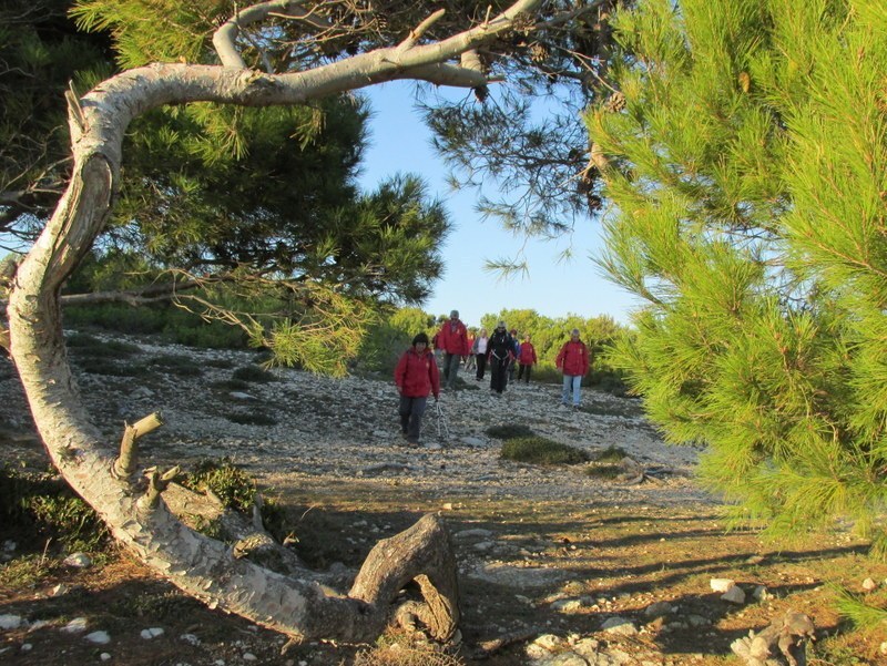 La Couronne - Le sentier des Douaniers - Jeudi 06 novembre 2014 Qn0uKd