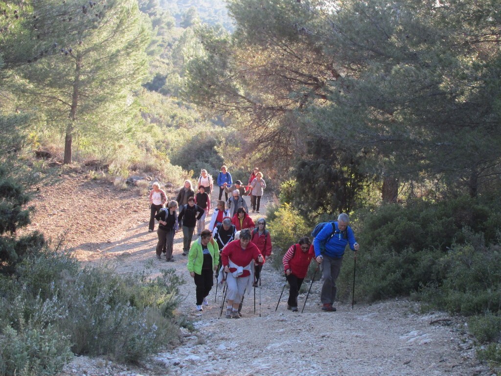 Les collines de Septêmes - La Vigie - jeudi 6 mars 2014 7mqqD4