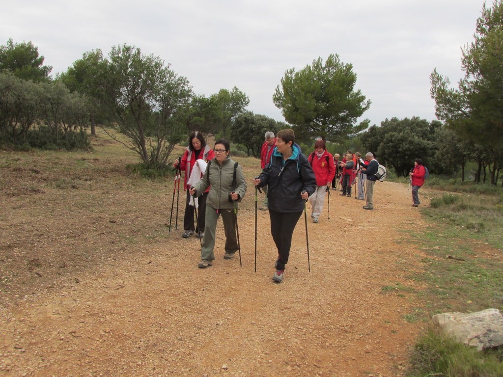 Septêmes les Vallons - Vallon de Fréguières -Jeudi 03 Décembre 2015 GWiDm9