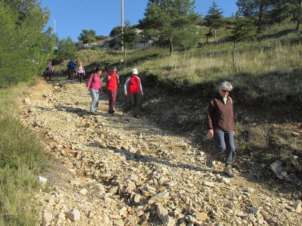 Les collines de Septêmes - La Vigie - jeudi 6 mars 2014 GcEDA5