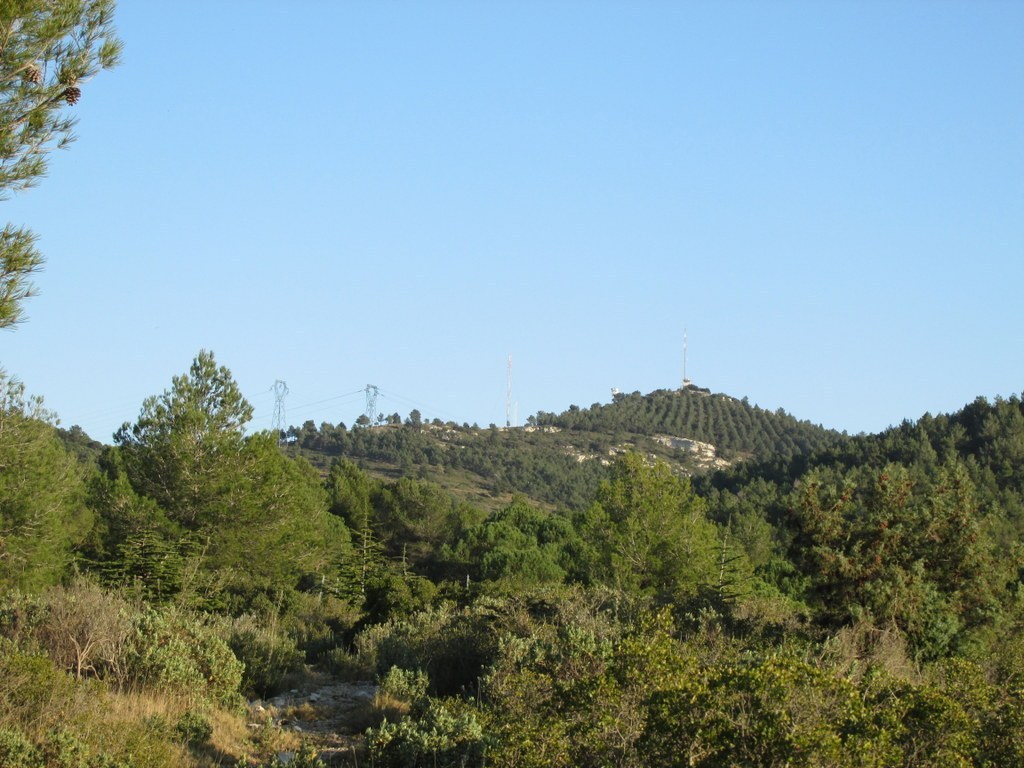 Les collines de Septêmes - La Vigie - jeudi 6 mars 2014 MpUYRk