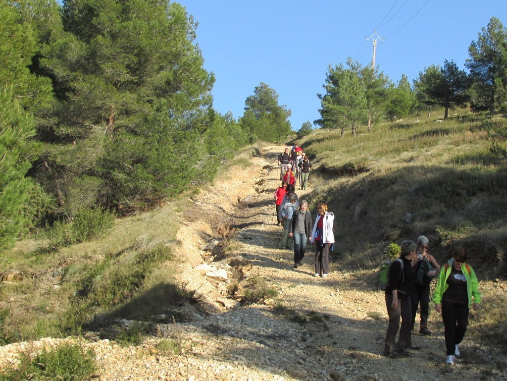 Les collines de Septêmes - La Vigie - jeudi 6 mars 2014 KW3f7J