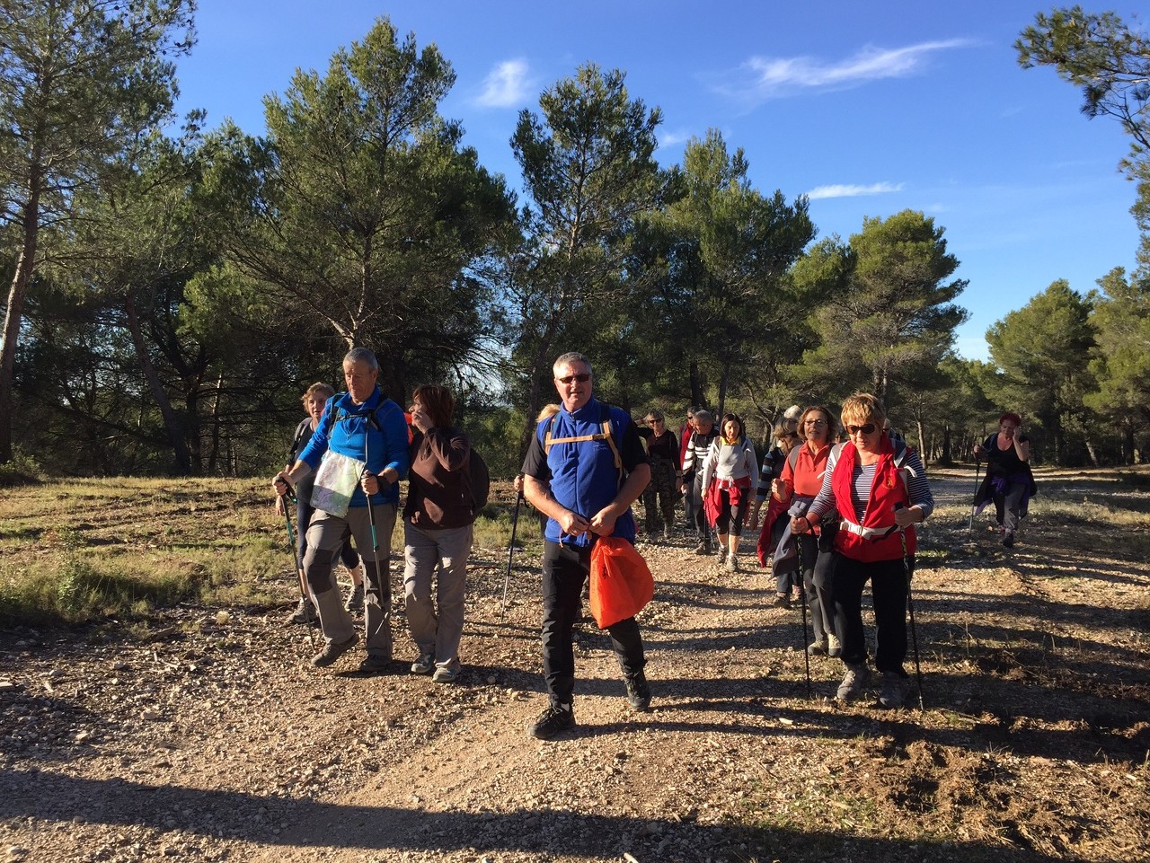 Cabriès - Jeudi 19 novembre 2015 U8sarv