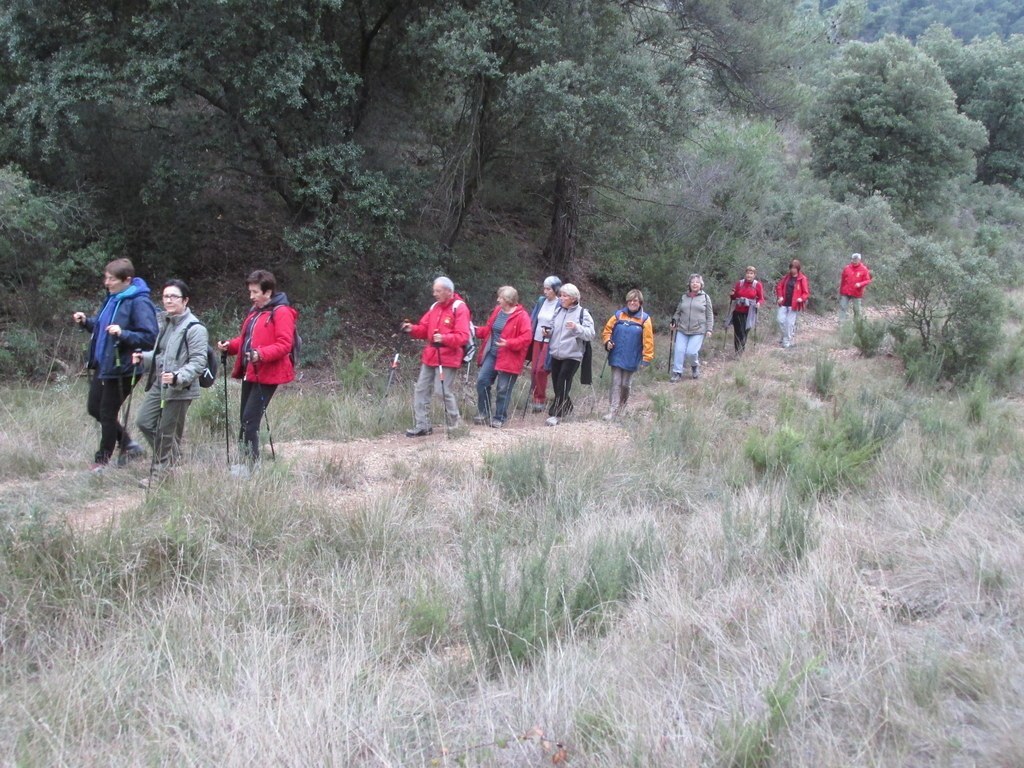 Septêmes les Vallons - Vallon de Fréguières -Jeudi 03 Décembre 2015 VfDZnv