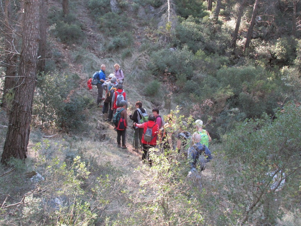 Les collines de Septêmes - La Vigie - jeudi 6 mars 2014 WwzocE