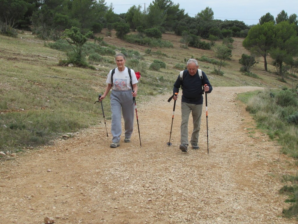 Septêmes les Vallons - Vallon de Fréguières -Jeudi 03 Décembre 2015 YmwOL1