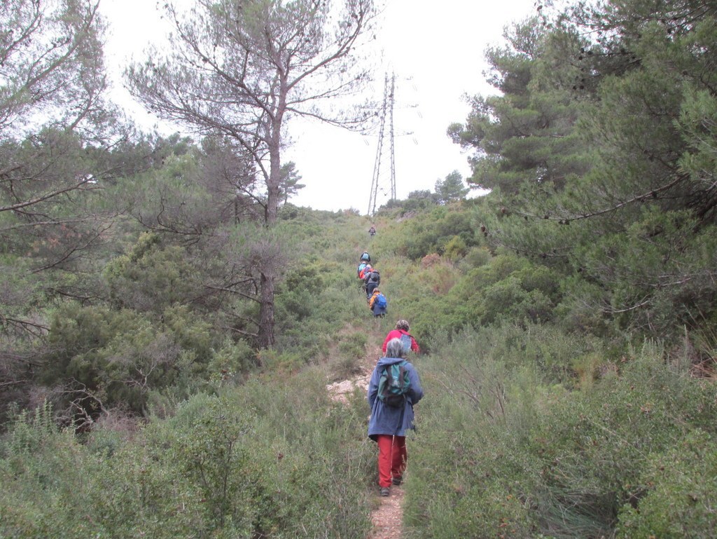 Septêmes les Vallons - Vallon de Fréguières -Jeudi 03 Décembre 2015 8fL56c