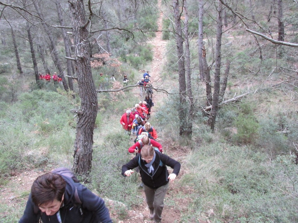 Septêmes les Vallons - Vallon de Fréguières -Jeudi 03 Décembre 2015 Ax0FEb