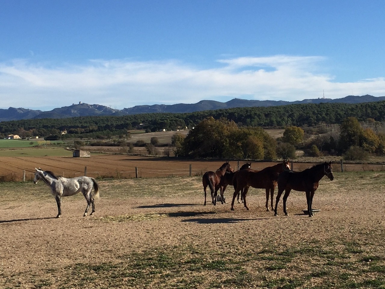 Cabriès - Jeudi 19 novembre 2015 Ew9gzR