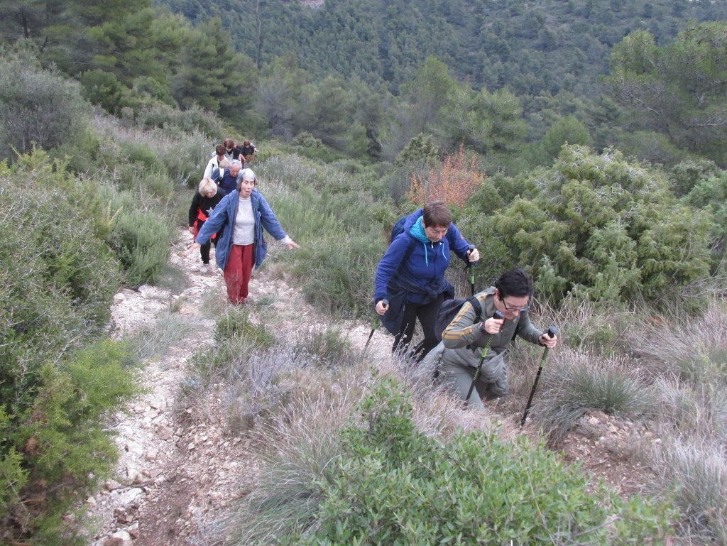 Septêmes les Vallons - Vallon de Fréguières -Jeudi 03 Décembre 2015 McB1oj