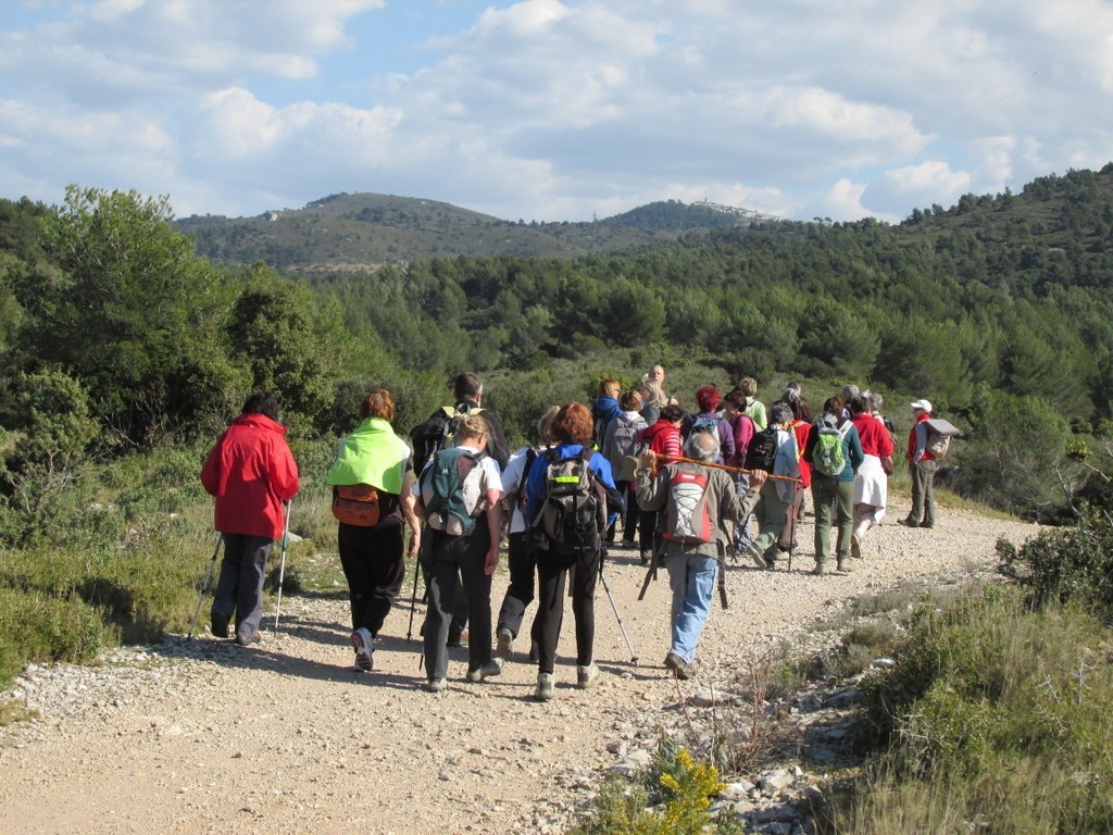 Les collines de Septêmes - La Vigie - jeudi 6 mars 2014 R5rjCO