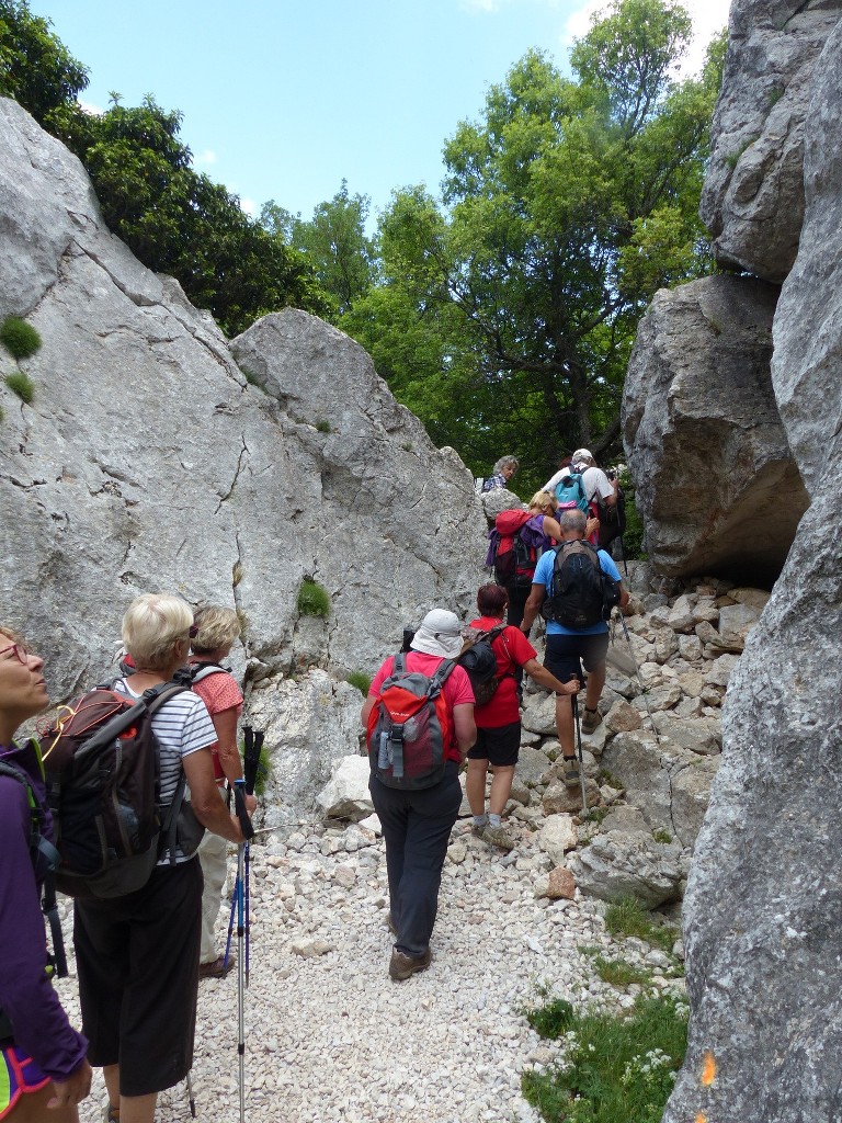 Ste Baume-Grotte aux Oeufs-Paradis-Glacières-Sentier Merveilleux-Jeudi 28 mai 2015 Vt24ic