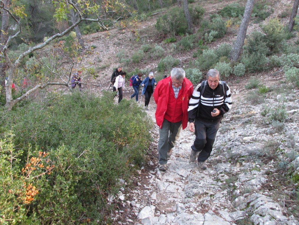 Meyrargues - Pas de l'Etroit - Jeudi 20 novembre 2014 Ppd3cL